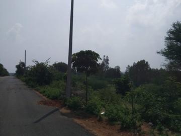 Electrical Pole and Distribution Line Work - AAIT Power Technology
